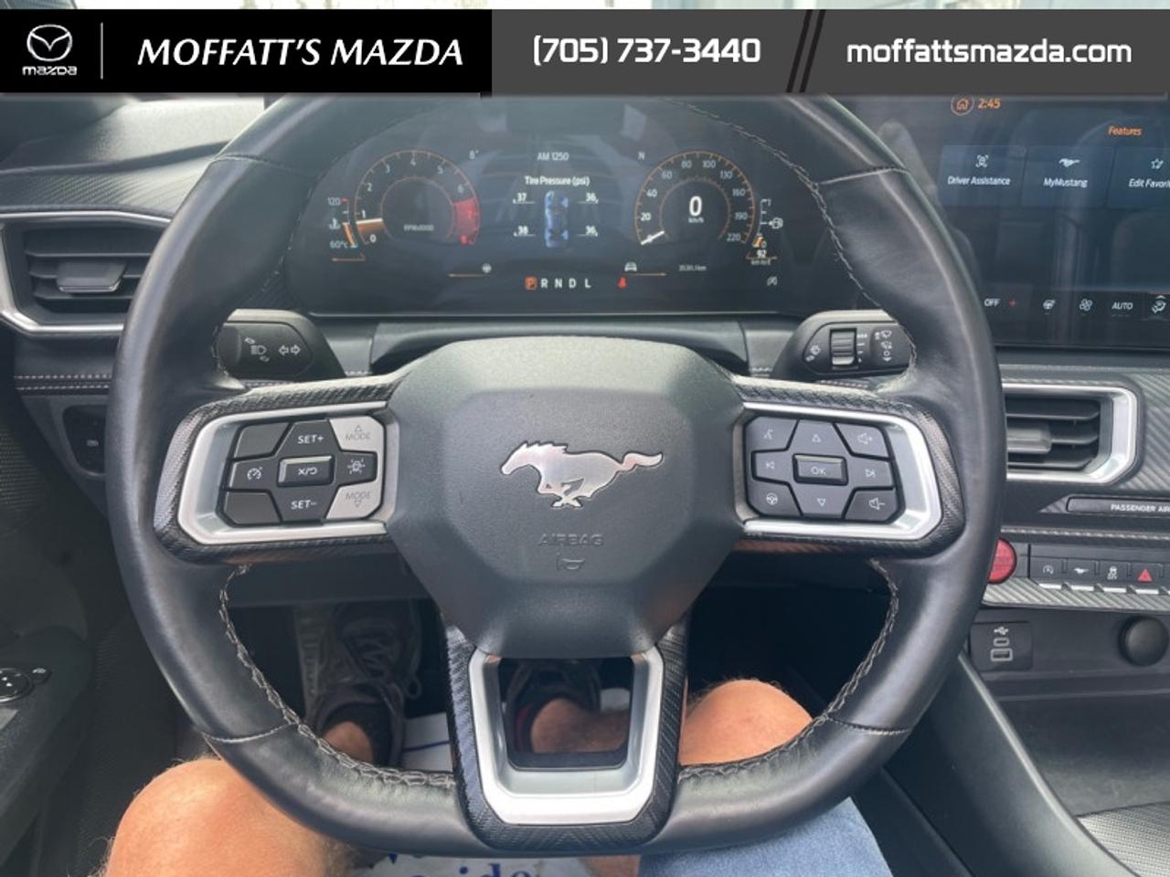 2025 Ford Mustang EcoBoost Photo