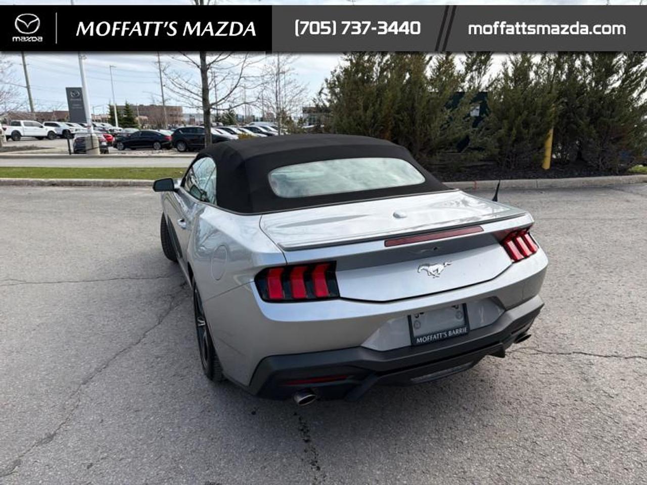 2025 Ford Mustang EcoBoost Photo