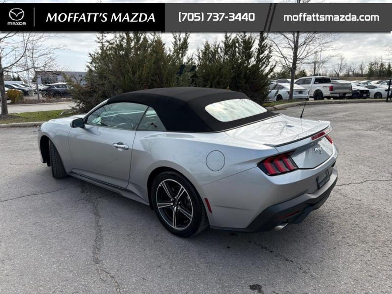 2025 Ford Mustang EcoBoost Photo3