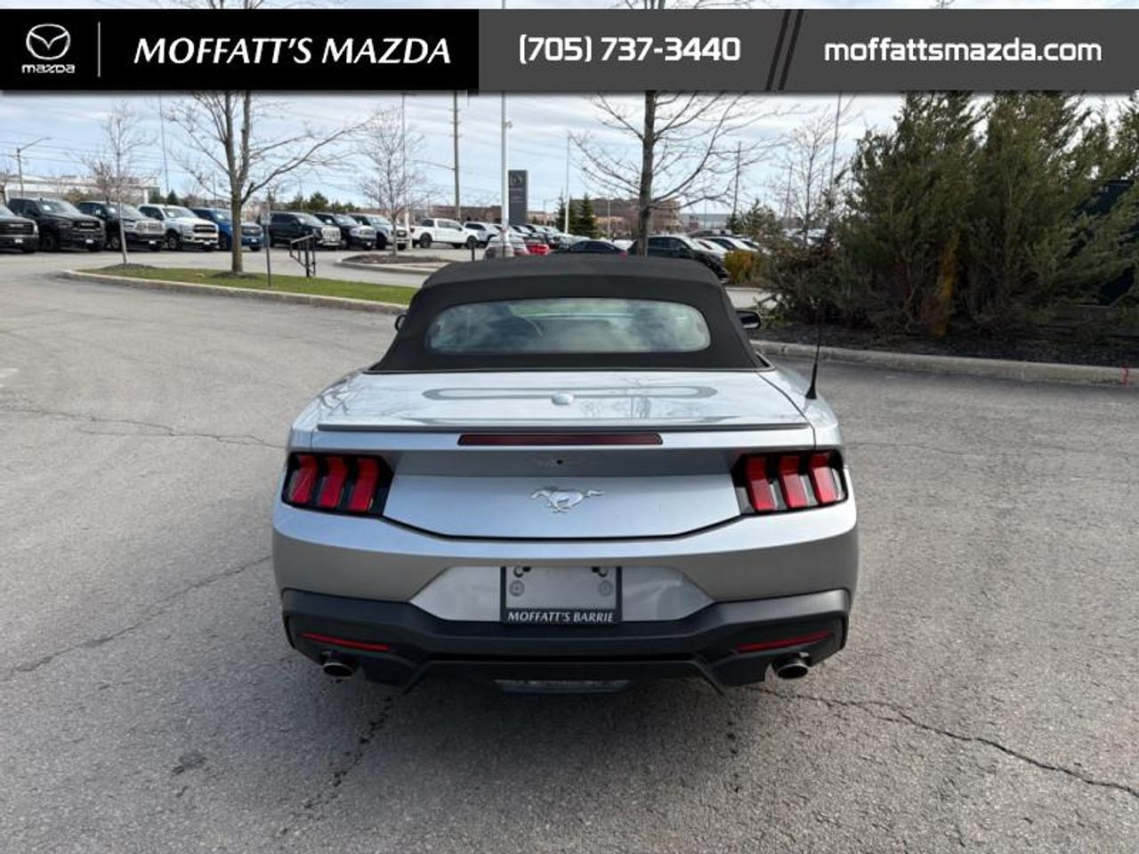 2025 Ford Mustang EcoBoost Photo