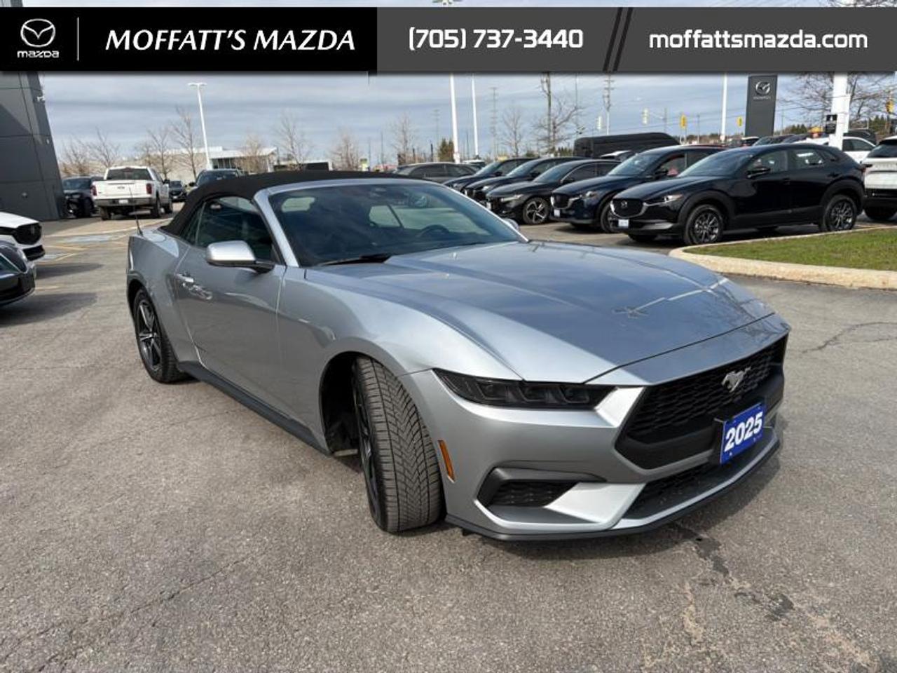 2025 Ford Mustang EcoBoost Photo