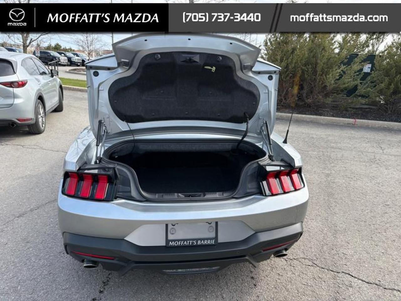 2025 Ford Mustang EcoBoost Photo