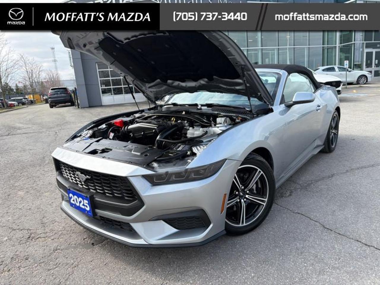 2025 Ford Mustang EcoBoost Photo