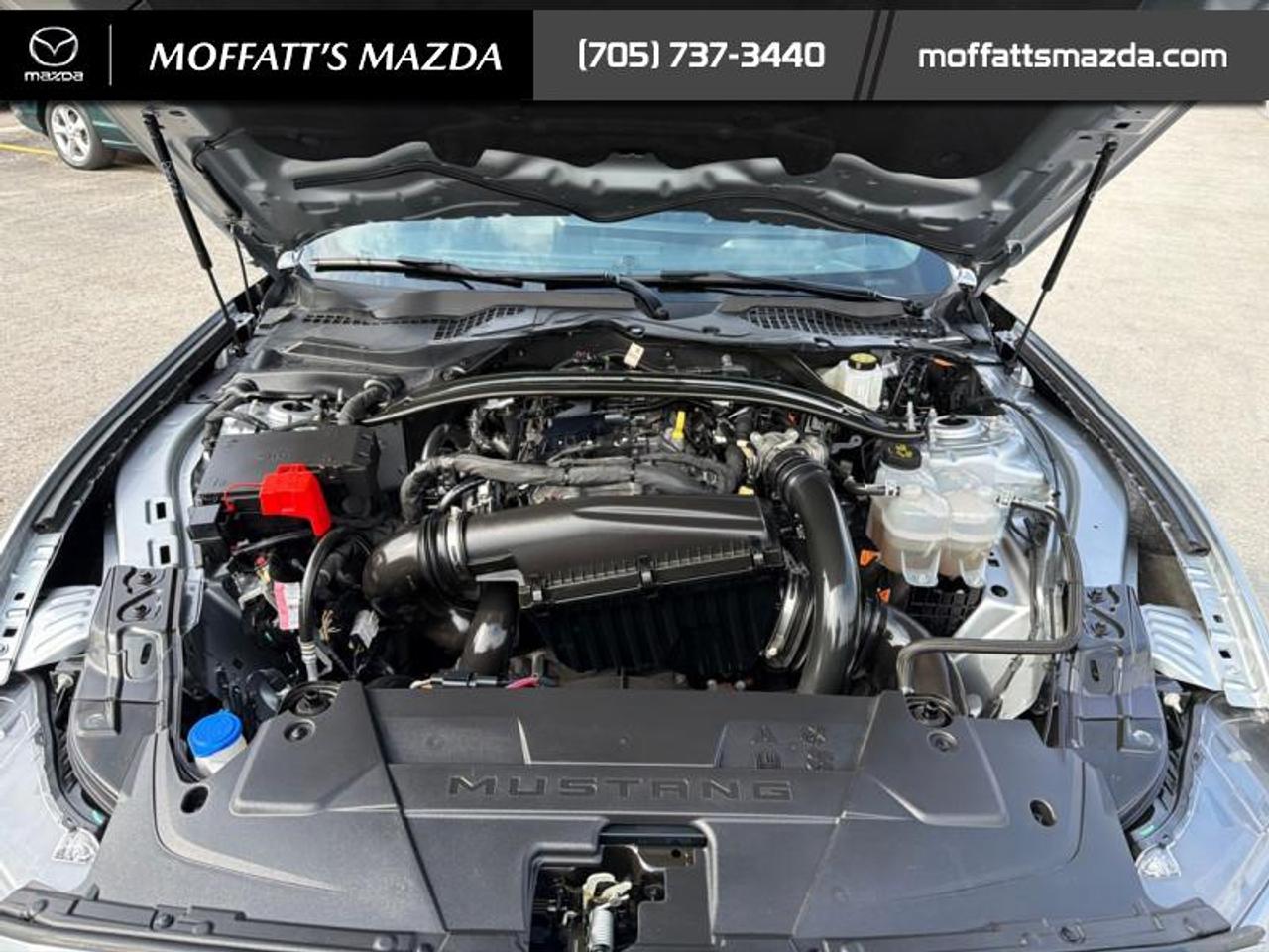 2025 Ford Mustang EcoBoost Photo
