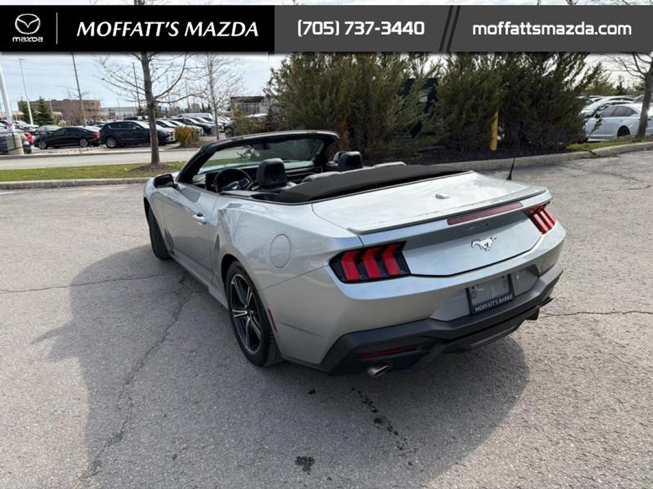2025 Ford Mustang EcoBoost Photo