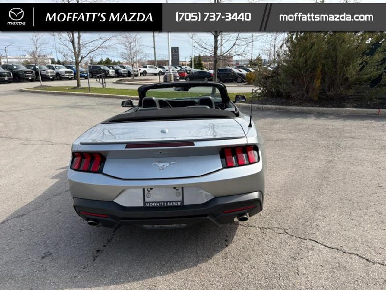 2025 Ford Mustang EcoBoost Photo