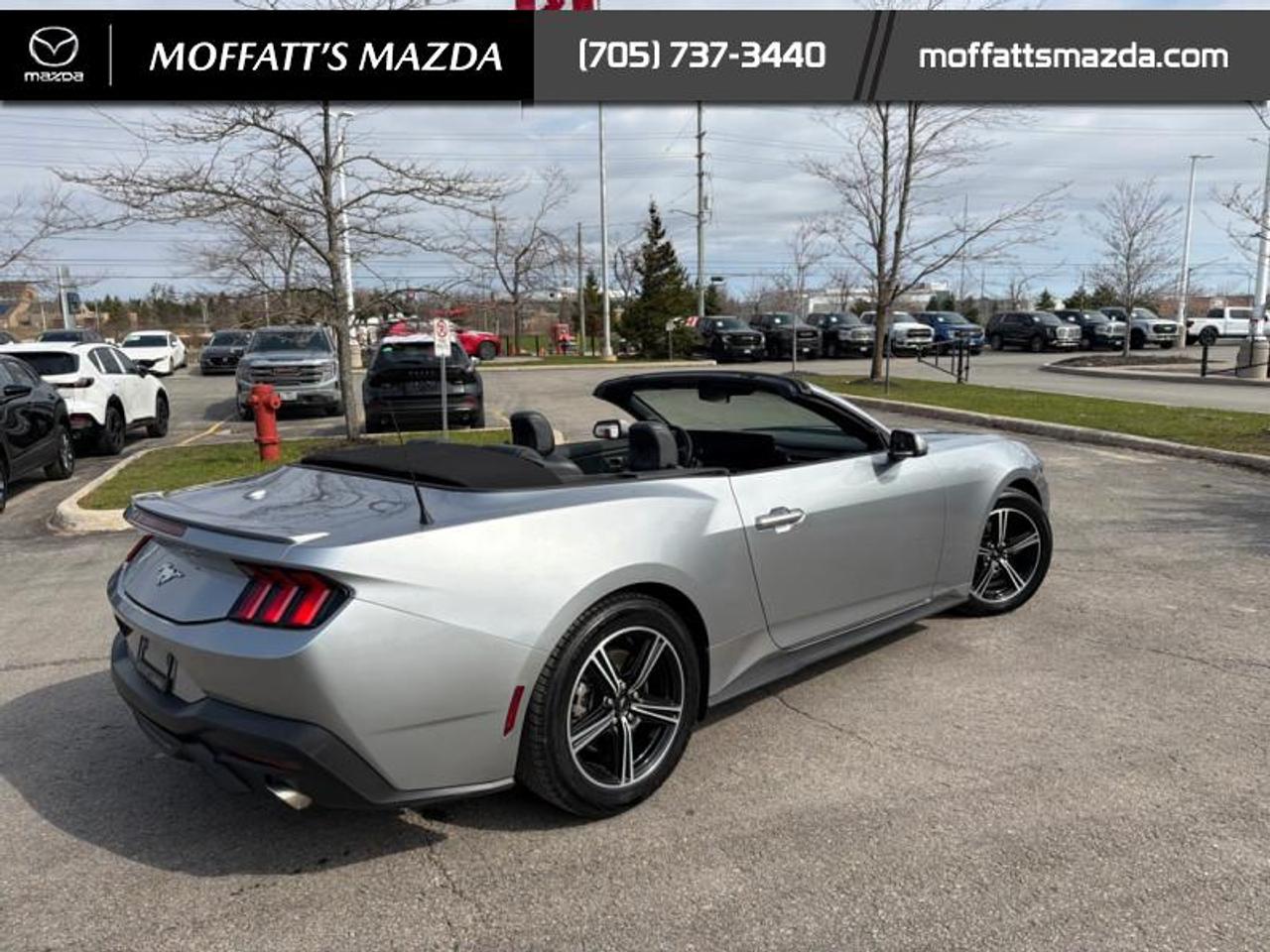 2025 Ford Mustang EcoBoost Photo