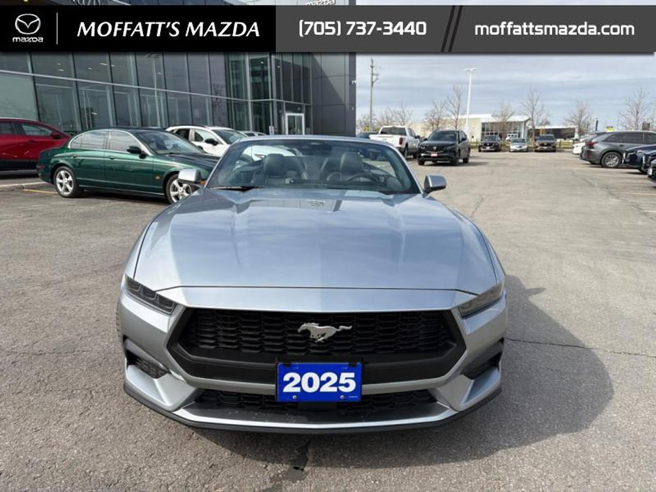 2025 Ford Mustang EcoBoost Photo