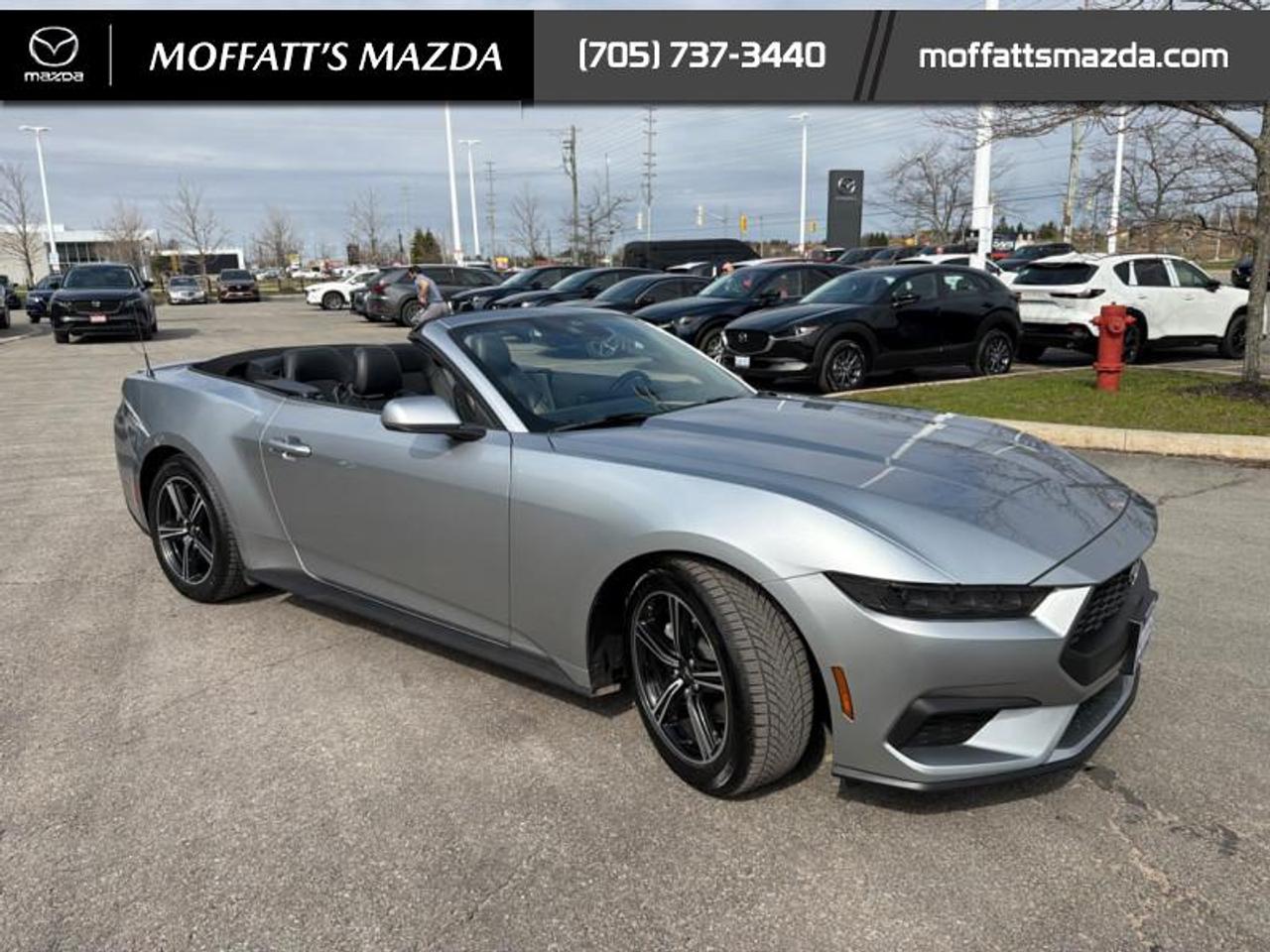 2025 Ford Mustang EcoBoost Photo