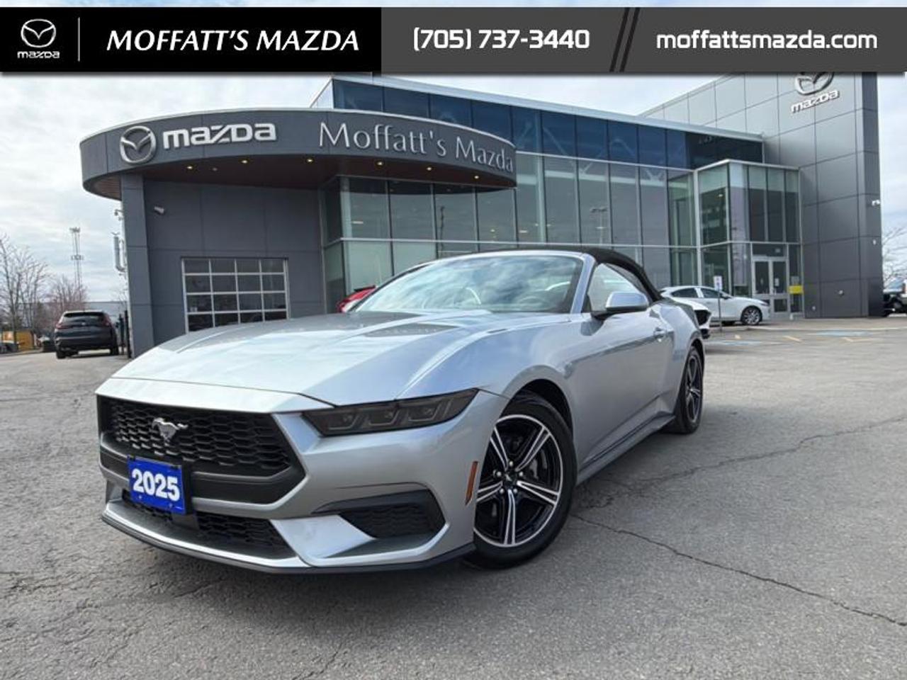 2025 Ford Mustang EcoBoost Photo