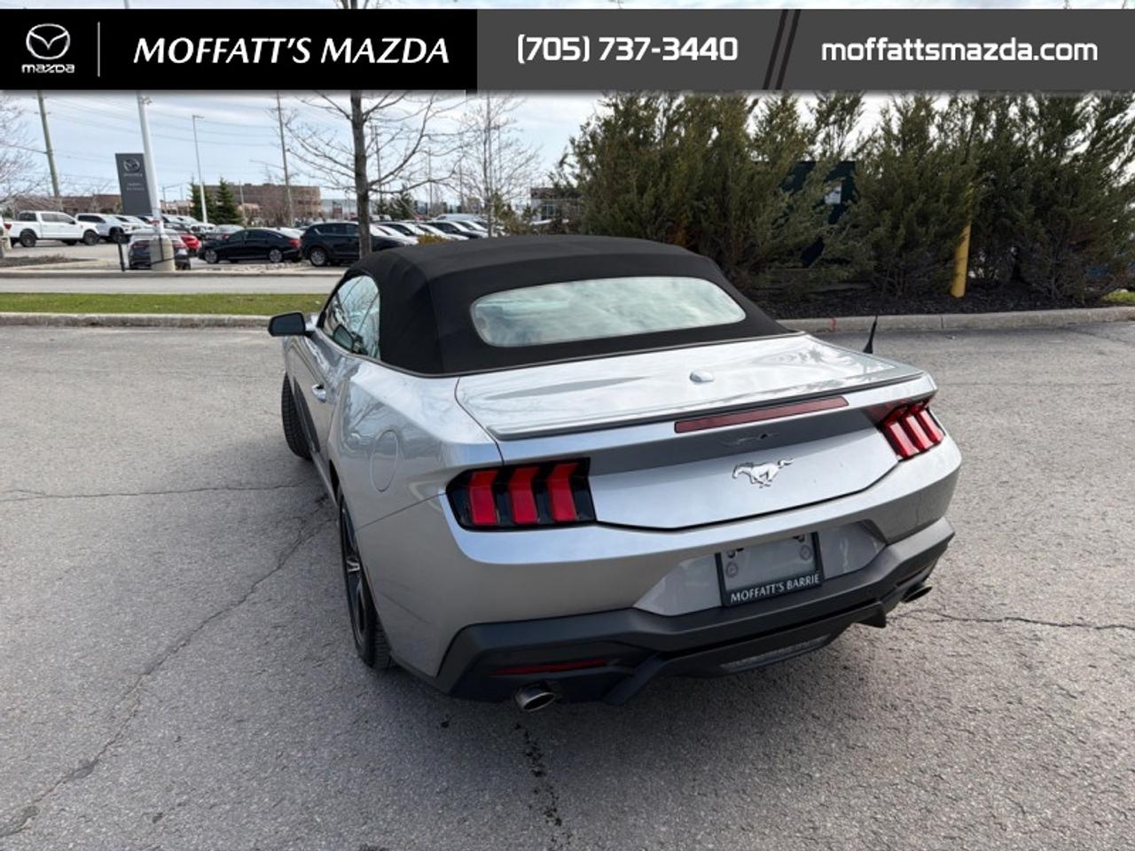2025 Ford Mustang EcoBoost Photo
