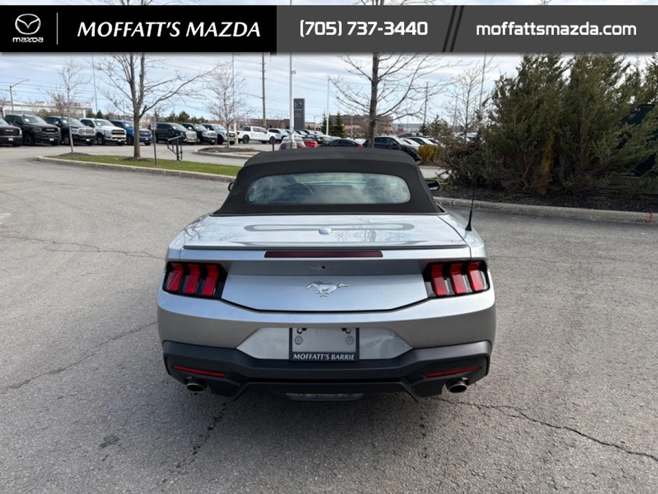 2025 Ford Mustang EcoBoost Photo