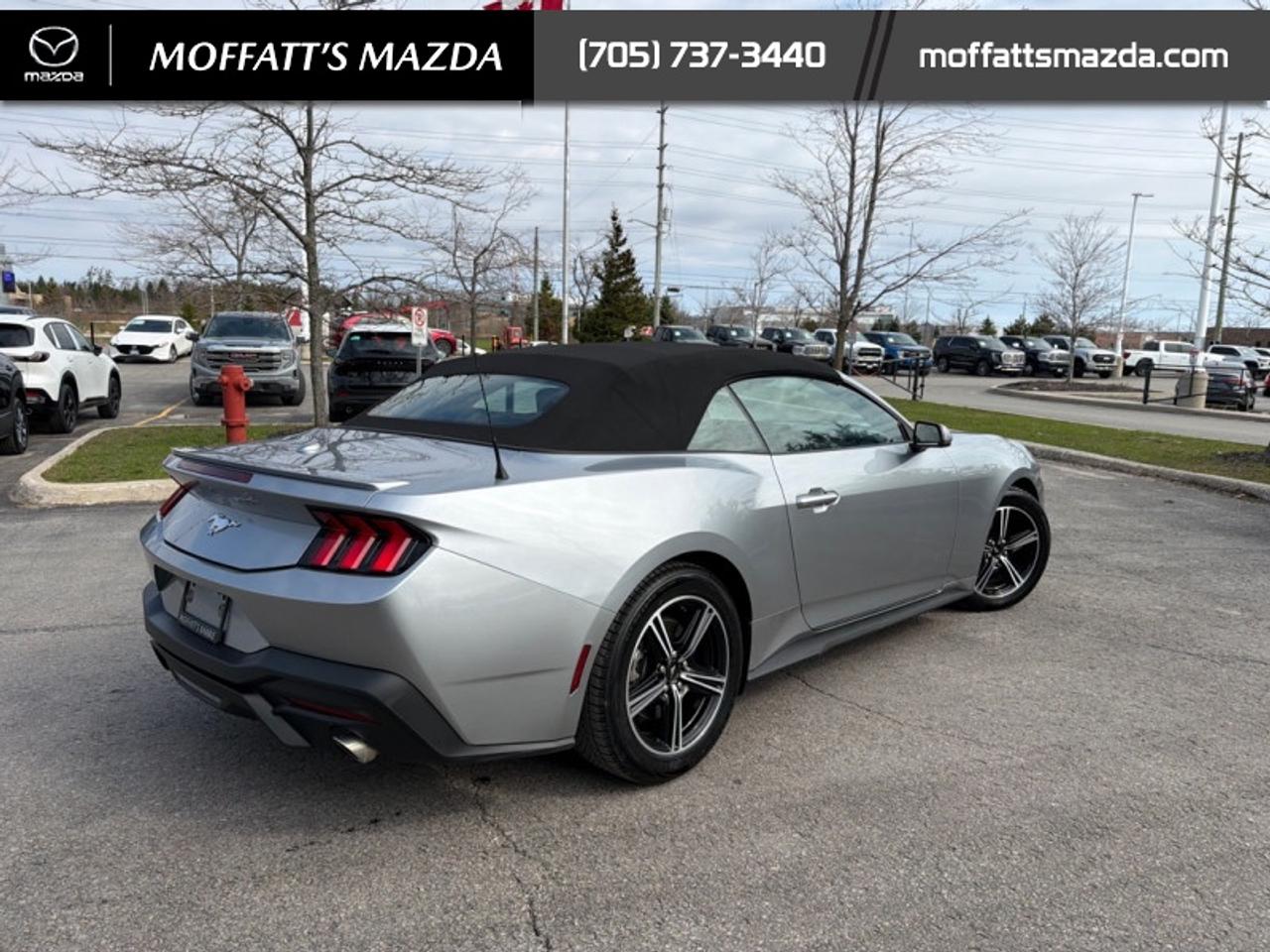2025 Ford Mustang EcoBoost Photo