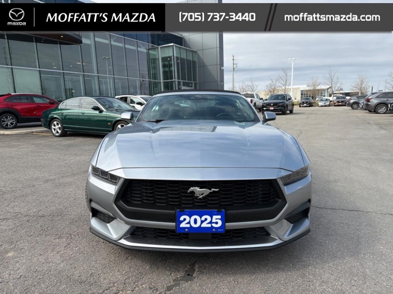 2025 Ford Mustang EcoBoost Photo