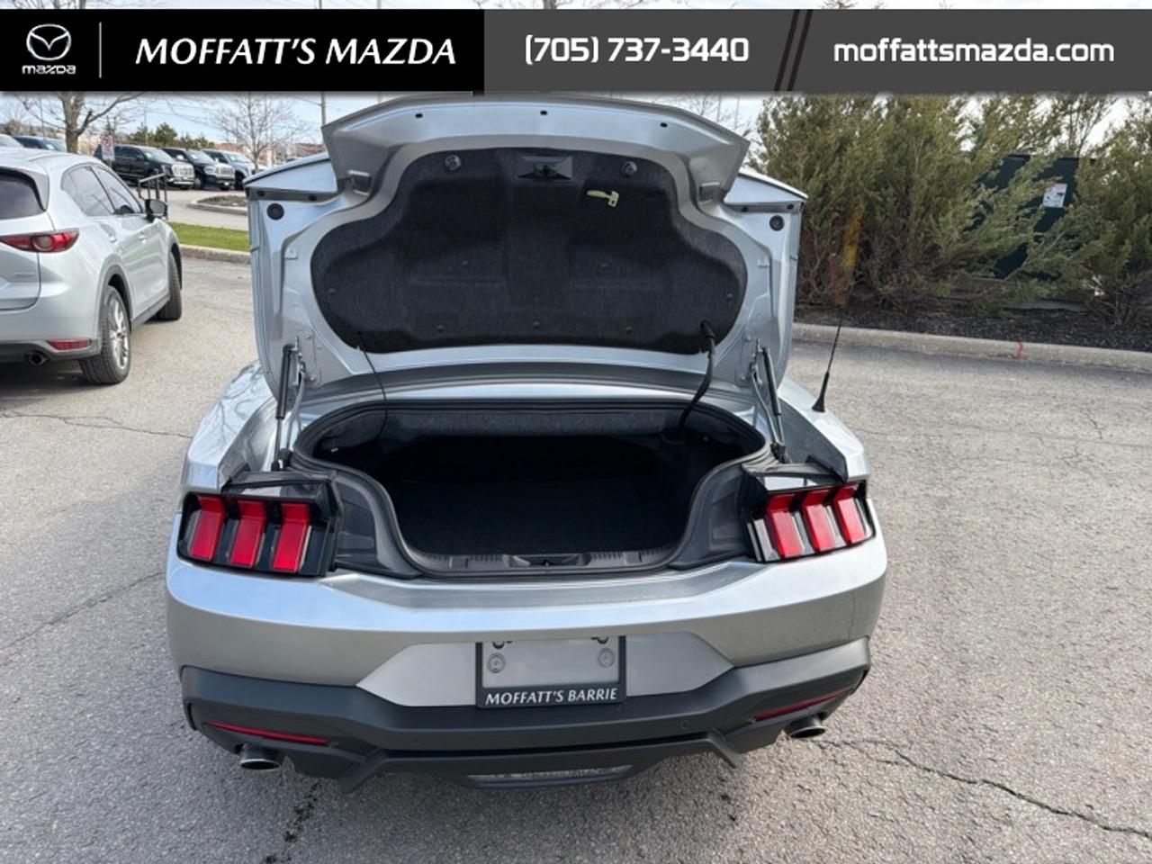 2025 Ford Mustang EcoBoost Photo
