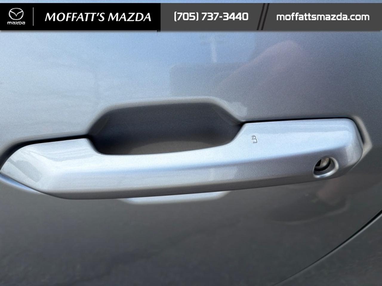 2025 Ford Mustang EcoBoost Photo
