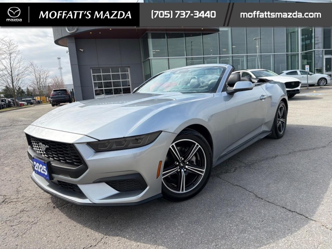 2025 Ford Mustang EcoBoost Photo