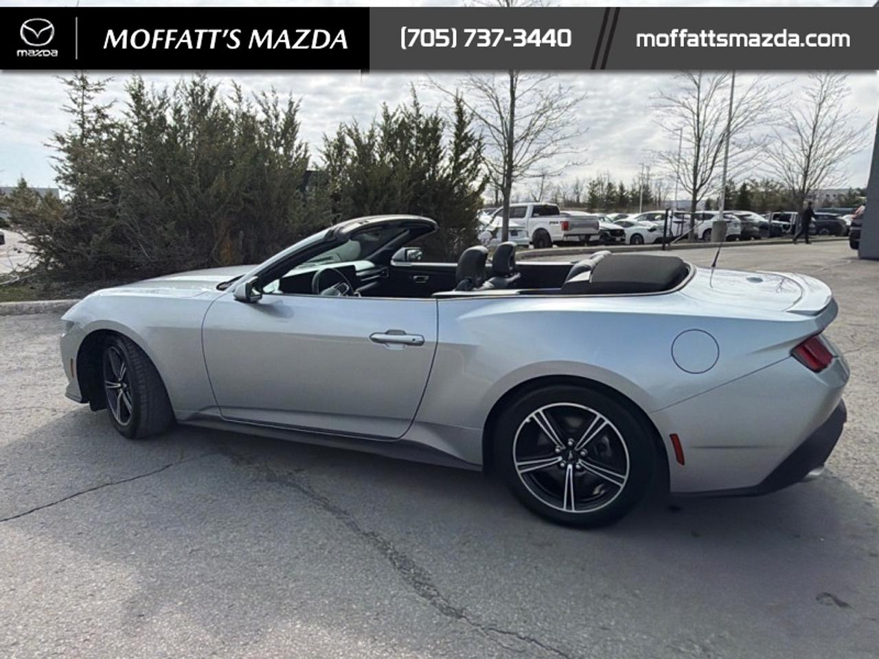 2025 Ford Mustang EcoBoost Photo