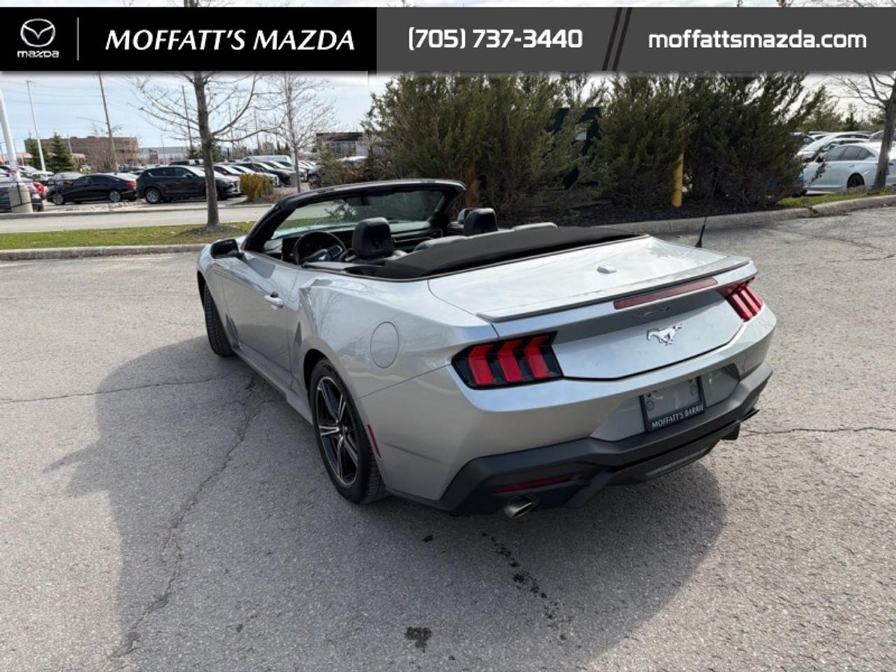 2025 Ford Mustang EcoBoost Photo