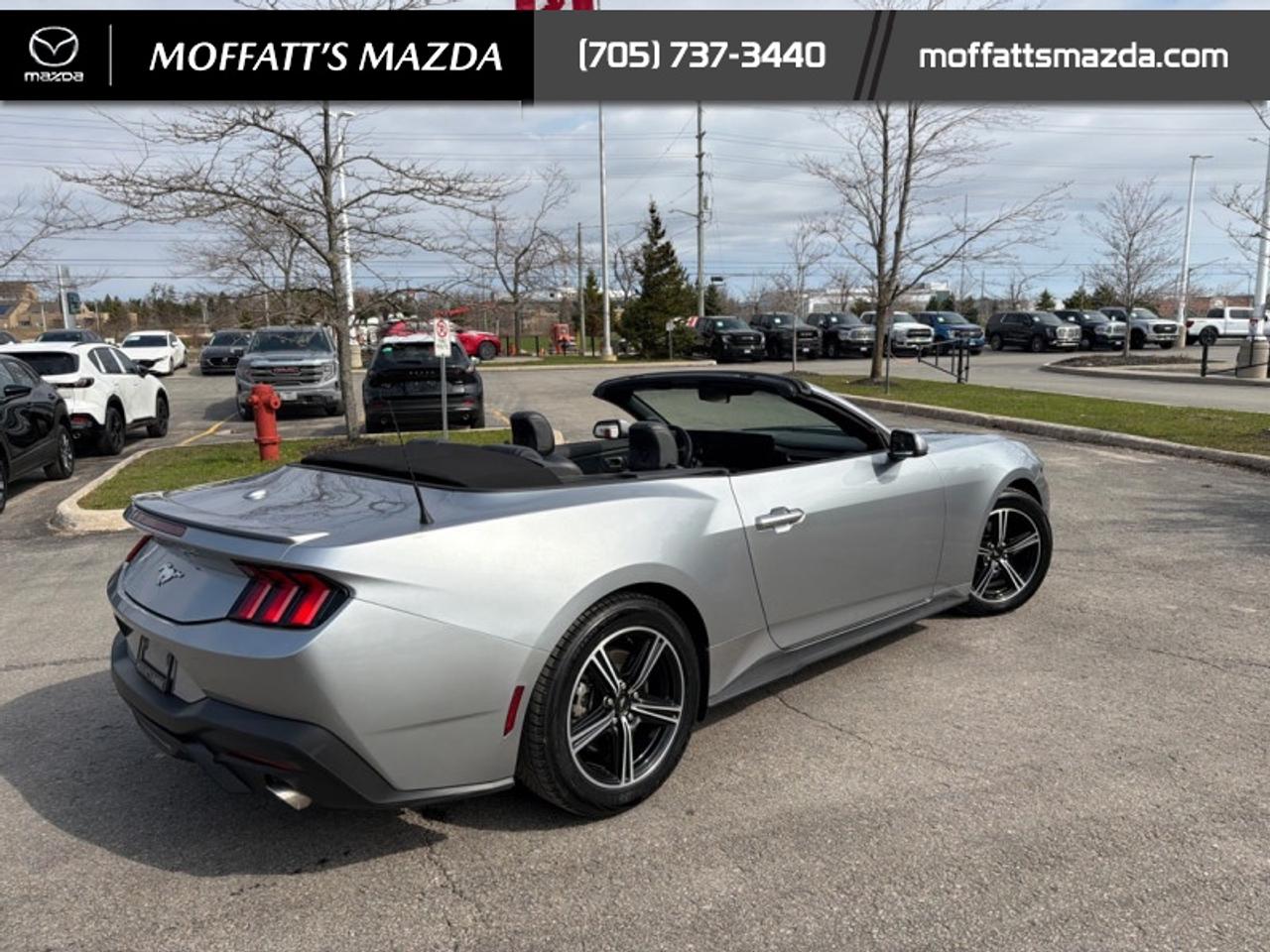 2025 Ford Mustang EcoBoost Photo
