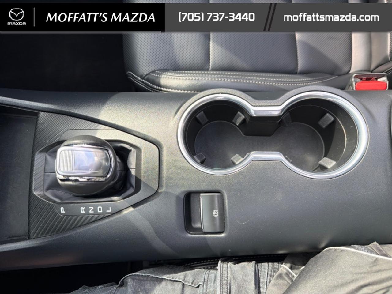 2025 Ford Mustang EcoBoost Photo