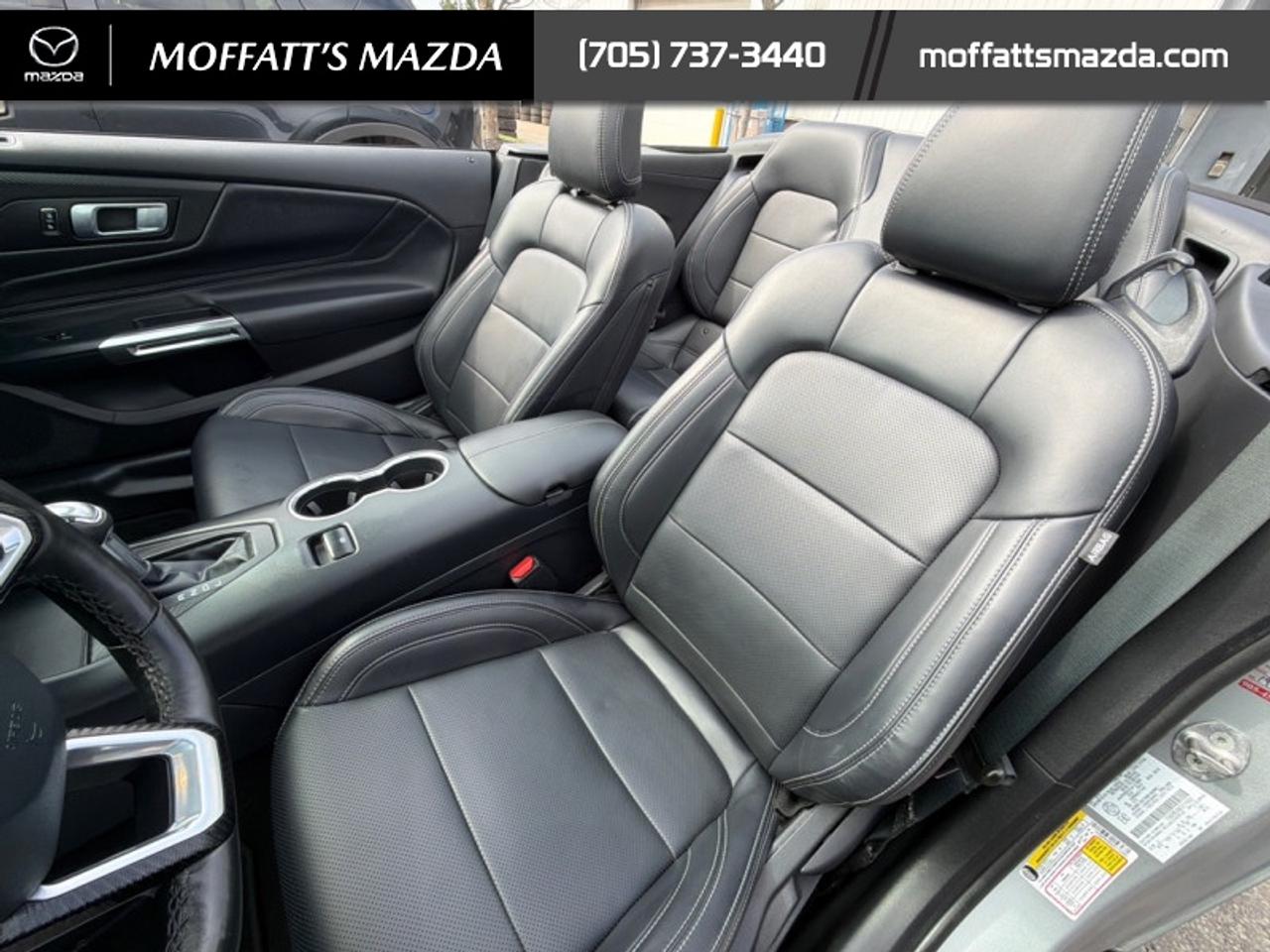 2025 Ford Mustang EcoBoost Photo