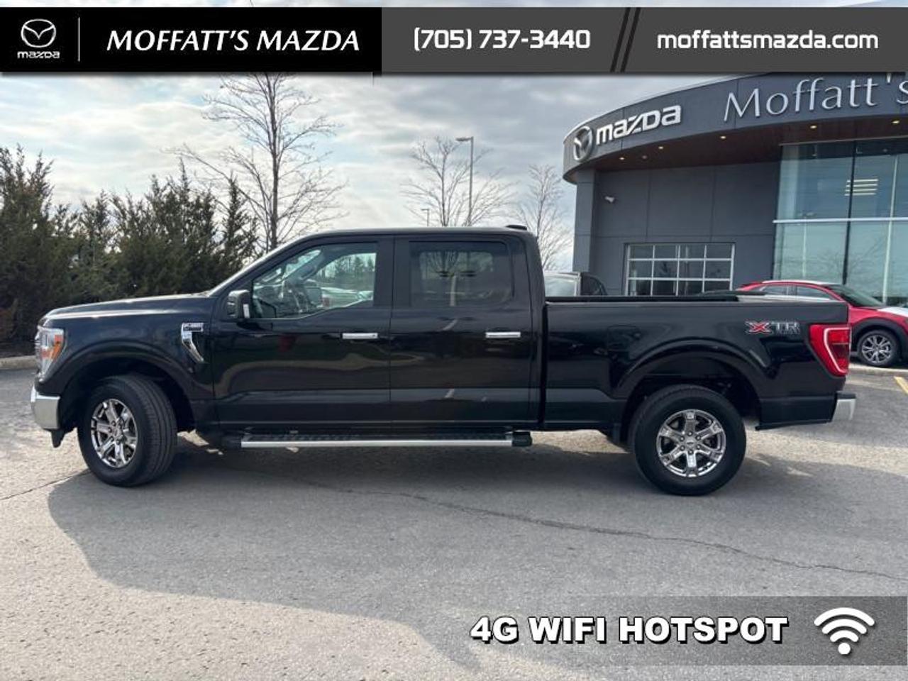 2022 Ford F-150 XLT Photo