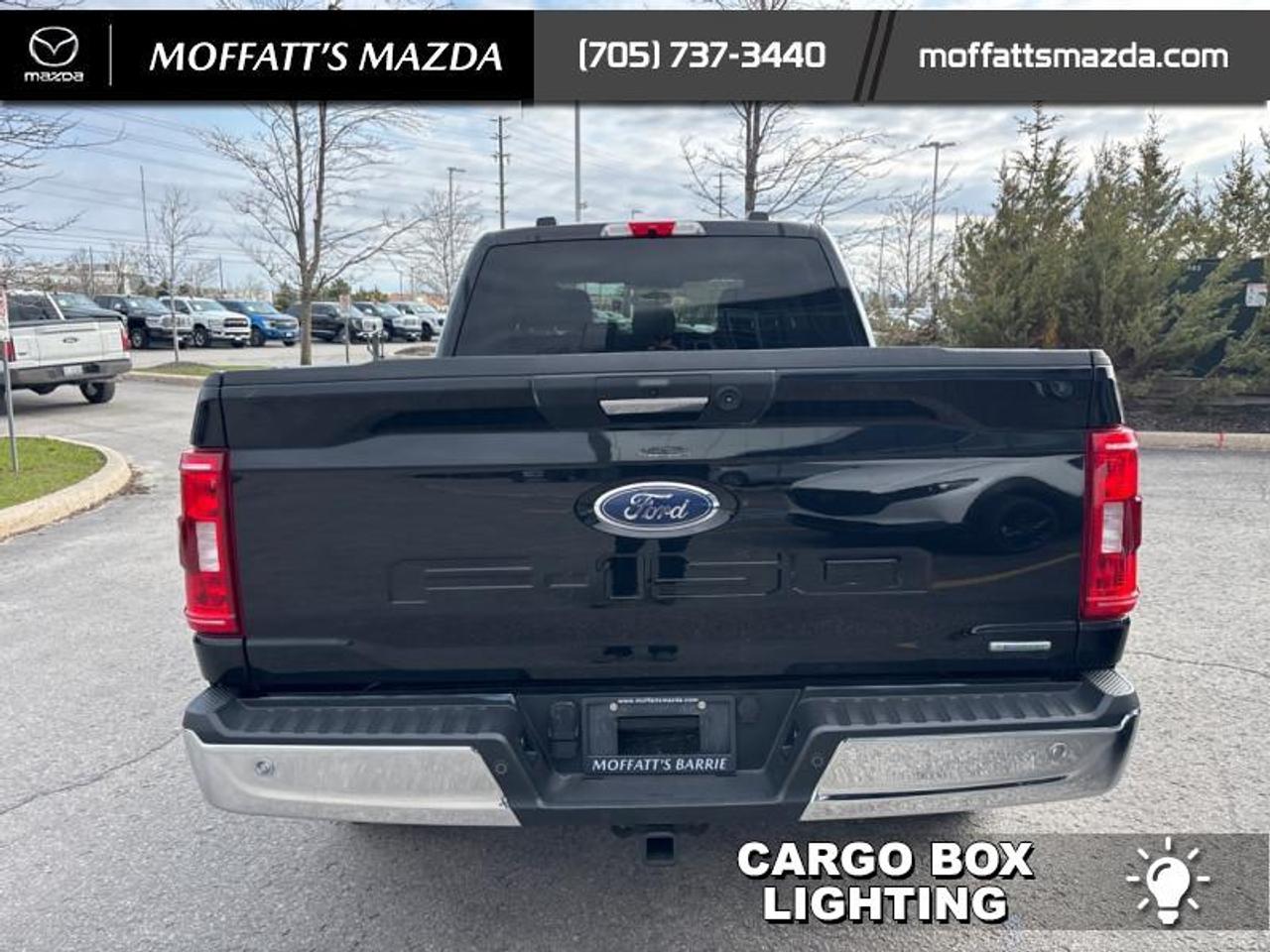 2022 Ford F-150 XLT Photo