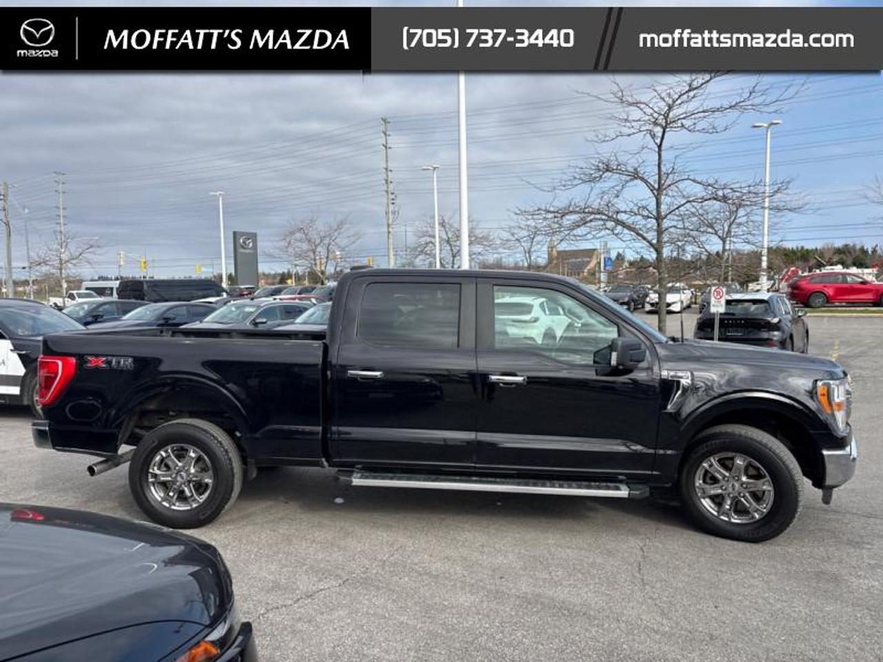 2022 Ford F-150 XLT Photo