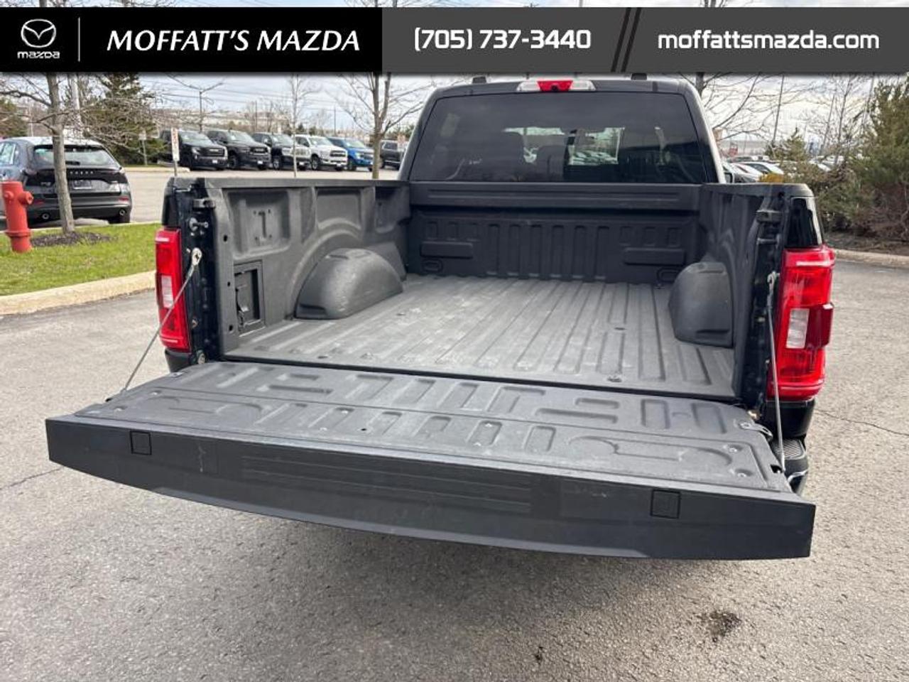 2022 Ford F-150 XLT Photo