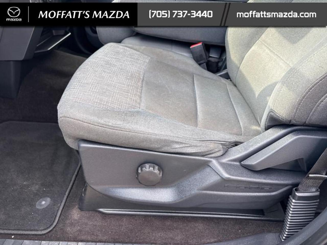 2022 Ford F-150 XLT Photo