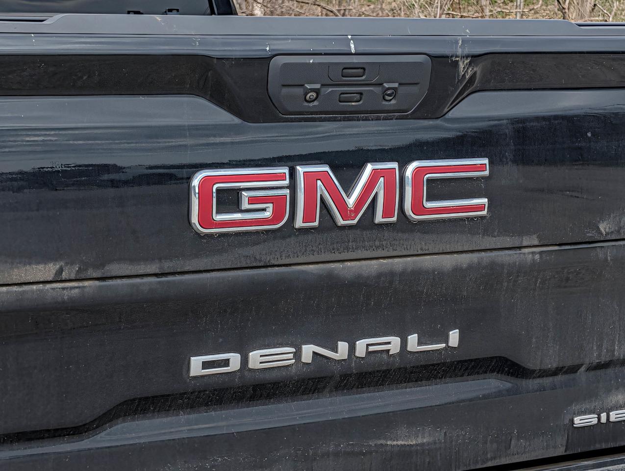 2022 GMC Sierra 1500 Limited Denali Photo