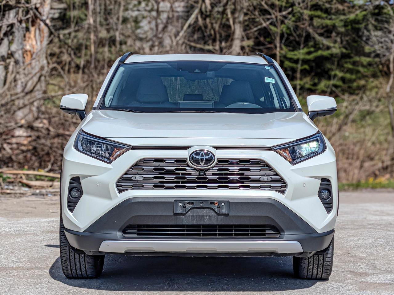 2021 Toyota RAV4 LIMITED  Photo3
