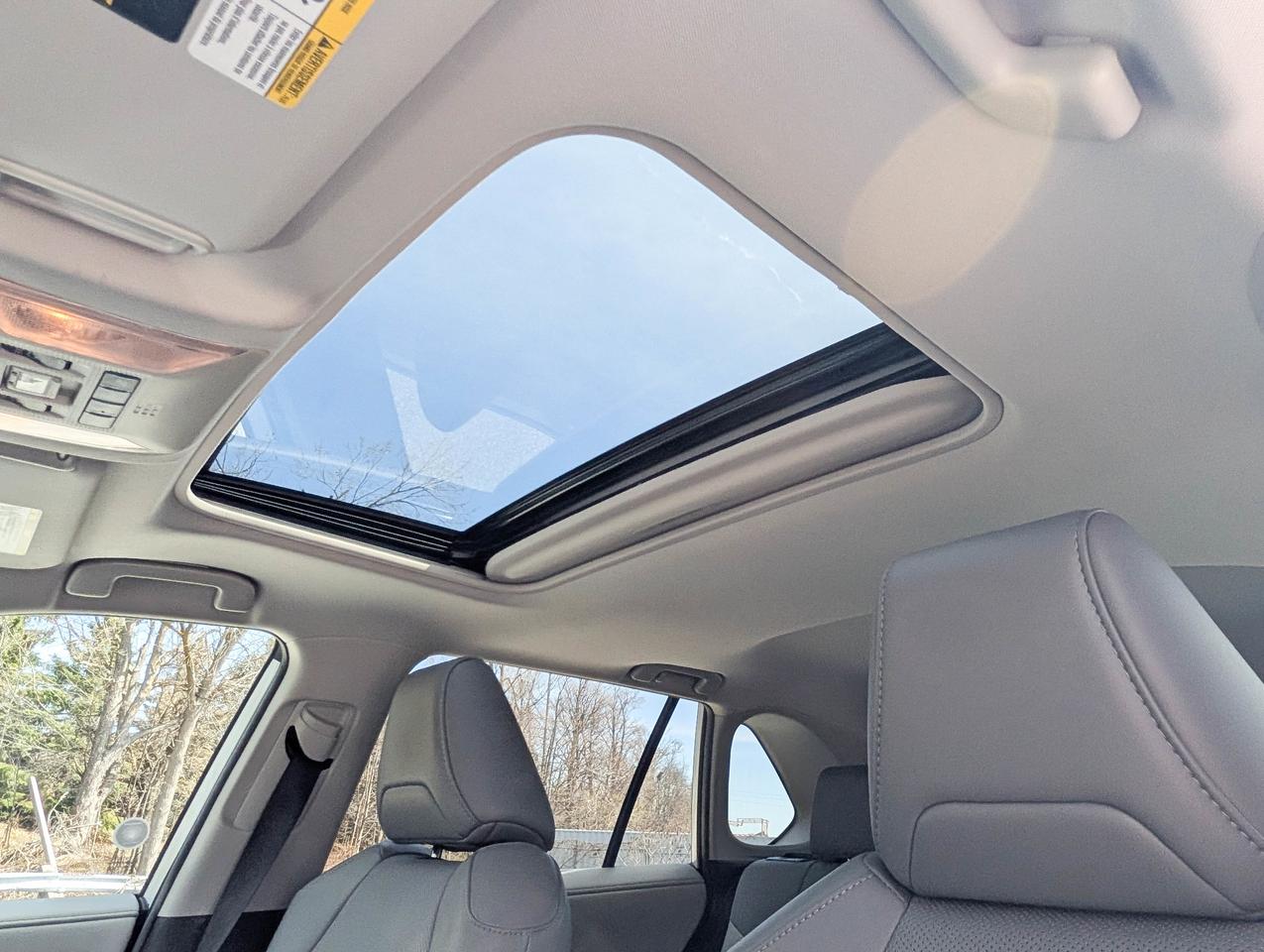 2021 Toyota RAV4 LIMITED  Photo