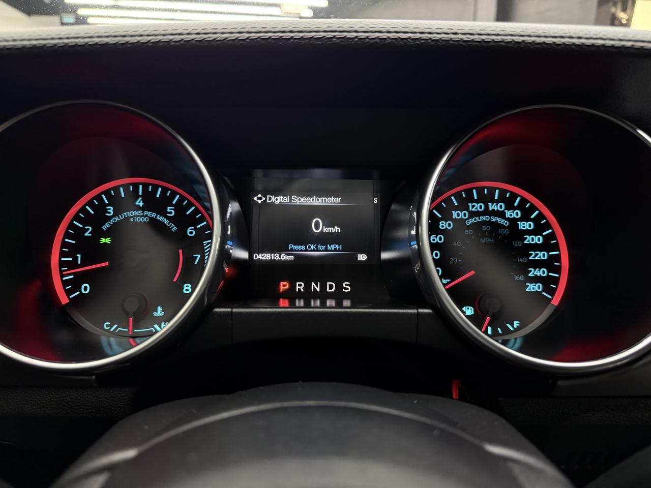 2022 Ford Mustang GT|5.0|NAV|BACKUP|BSM|LKA|FCW|CARPLAY| Photo