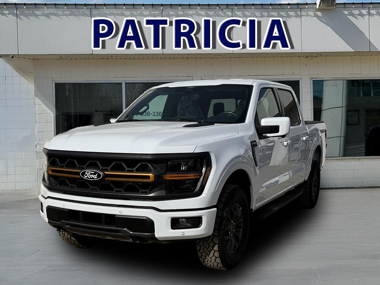 2026 Ford F-150 Tremor Photo0