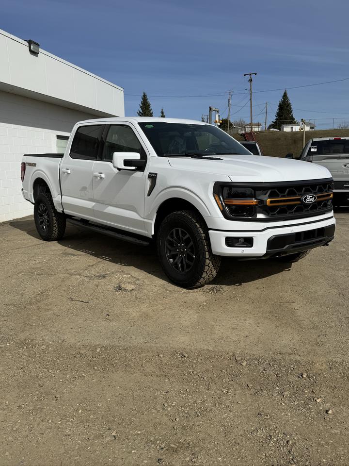 2026 Ford F-150 Tremor Photo1
