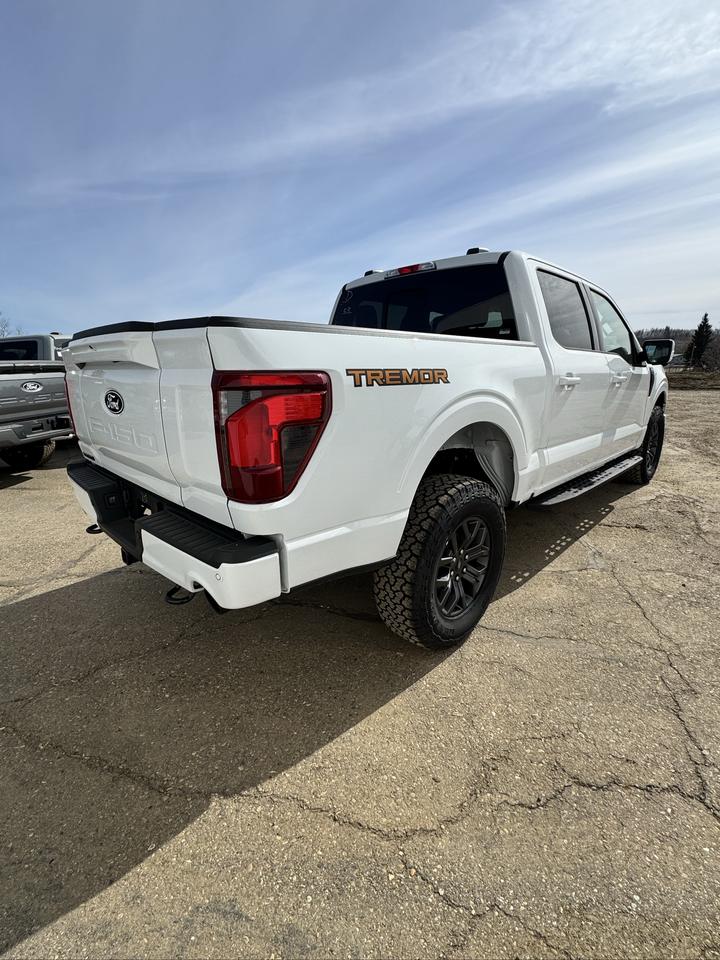 2026 Ford F-150 Tremor Photo3