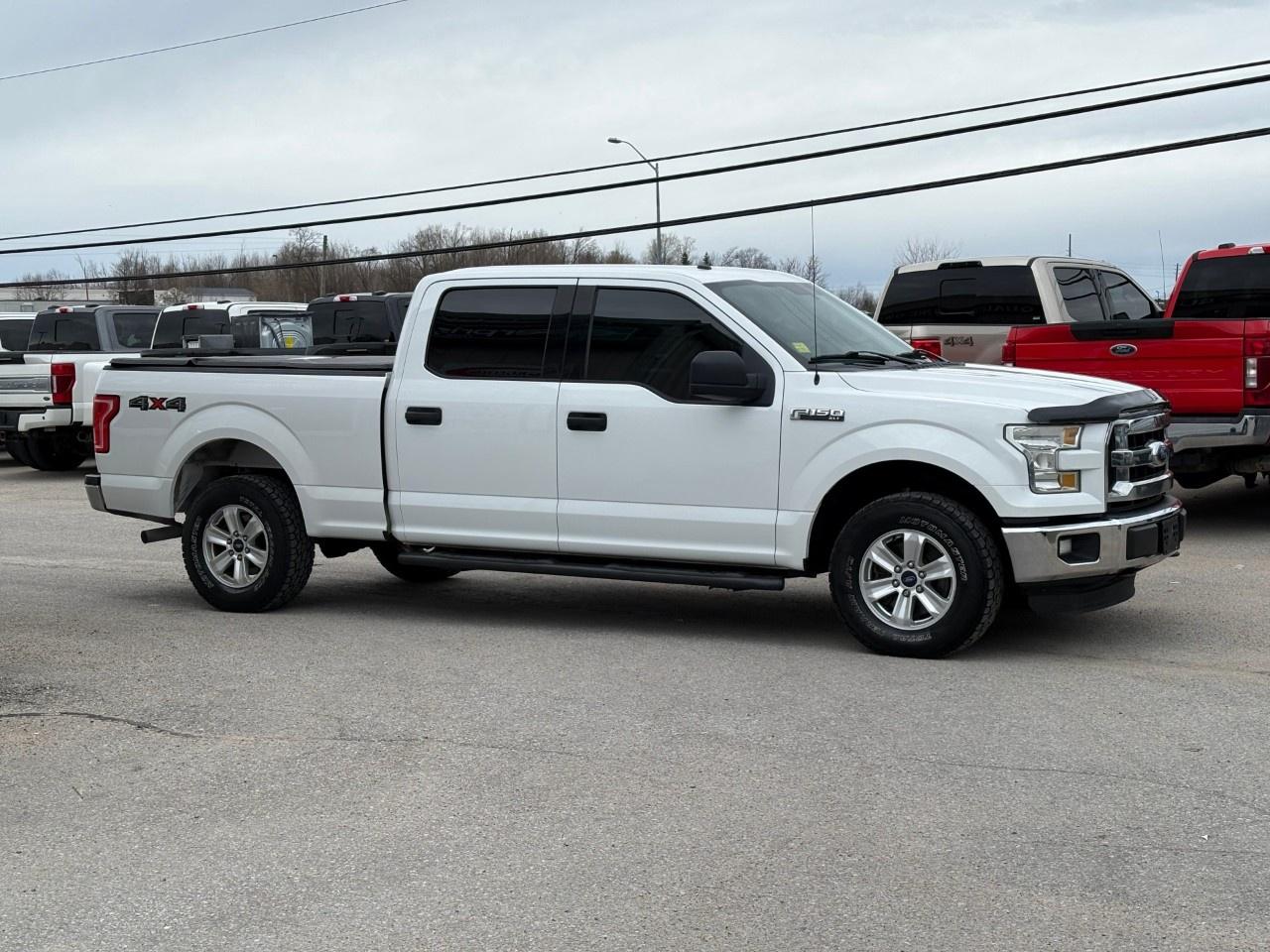 2016 Ford F-150 4WD SuperCrew 6-1/2 Ft Box XLT Photo4