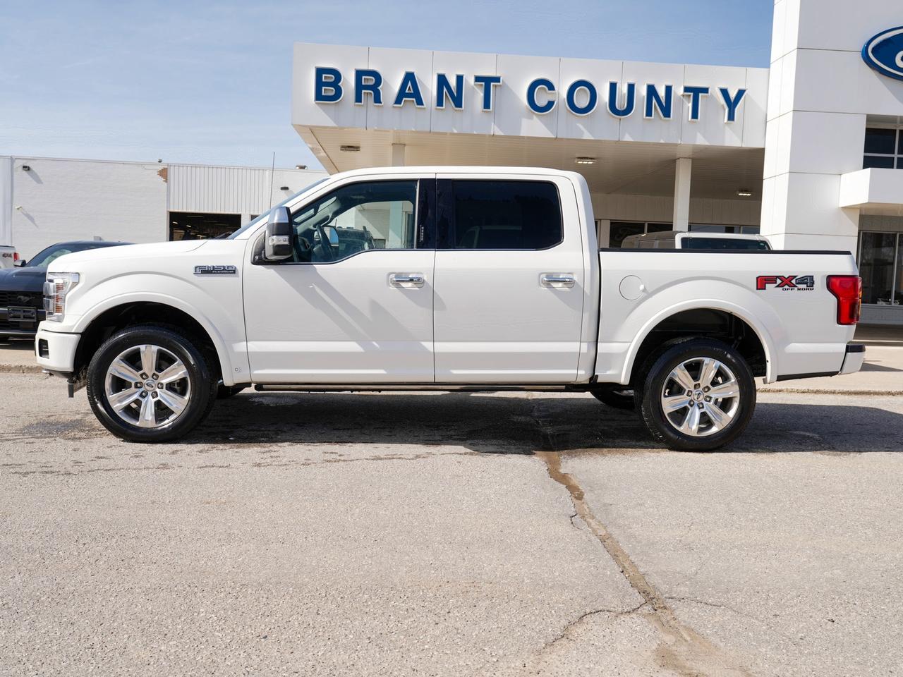 2020 Ford F-150 PLATINUM/MOONROOF/TECH PKG/RED LEATHER! Photo