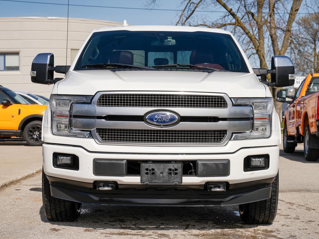 2020 Ford F-150 PLATINUM | BROWN LEATHER | PANO ROOF | 4WD Photo