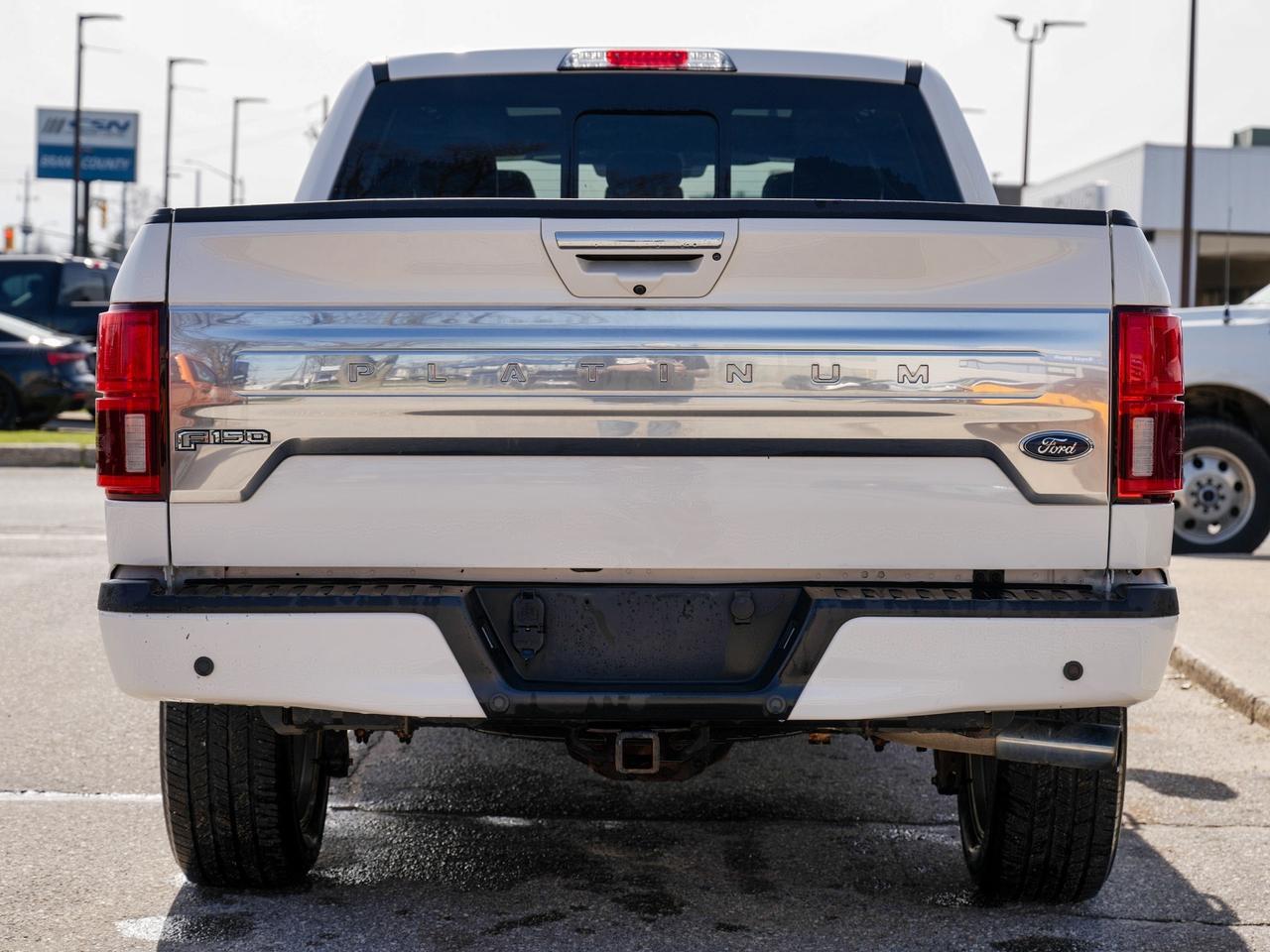 2020 Ford F-150 PLATINUM | BROWN LEATHER | PANO ROOF | 4WD Photo