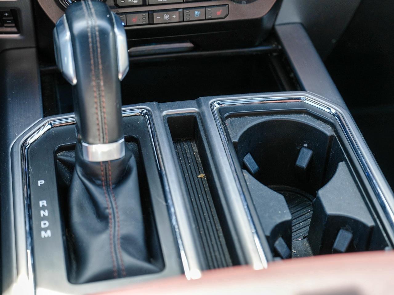 2020 Ford F-150 PLATINUM | BROWN LEATHER | PANO ROOF | 4WD Photo
