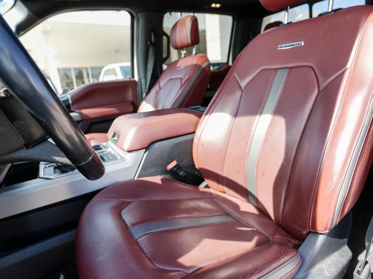 2020 Ford F-150 PLATINUM | BROWN LEATHER | PANO ROOF | 4WD Photo