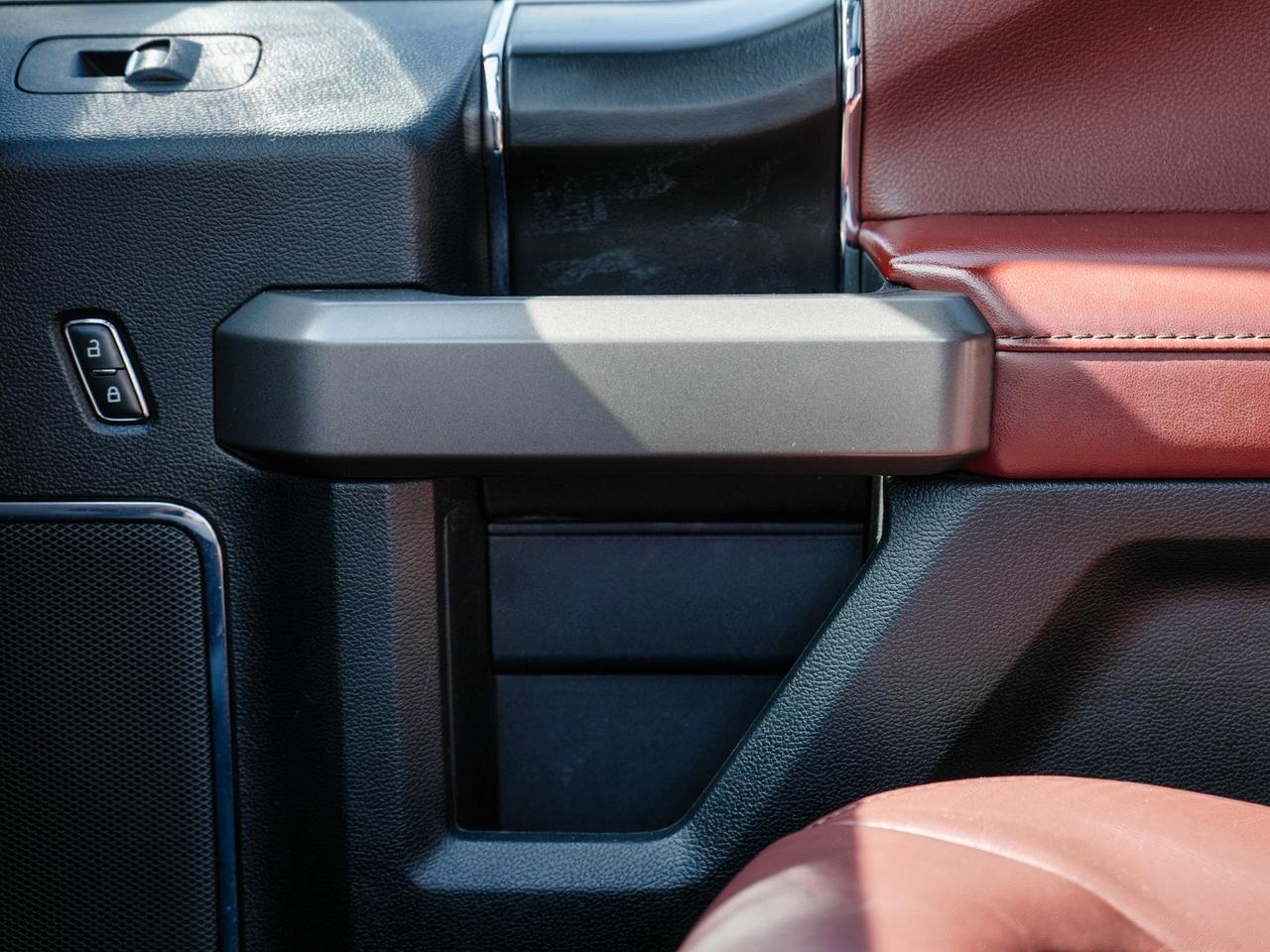 2020 Ford F-150 PLATINUM | BROWN LEATHER | PANO ROOF | 4WD Photo
