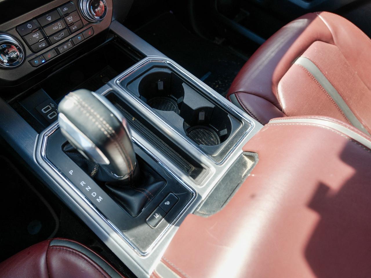 2020 Ford F-150 PLATINUM | BROWN LEATHER | PANO ROOF | 4WD Photo