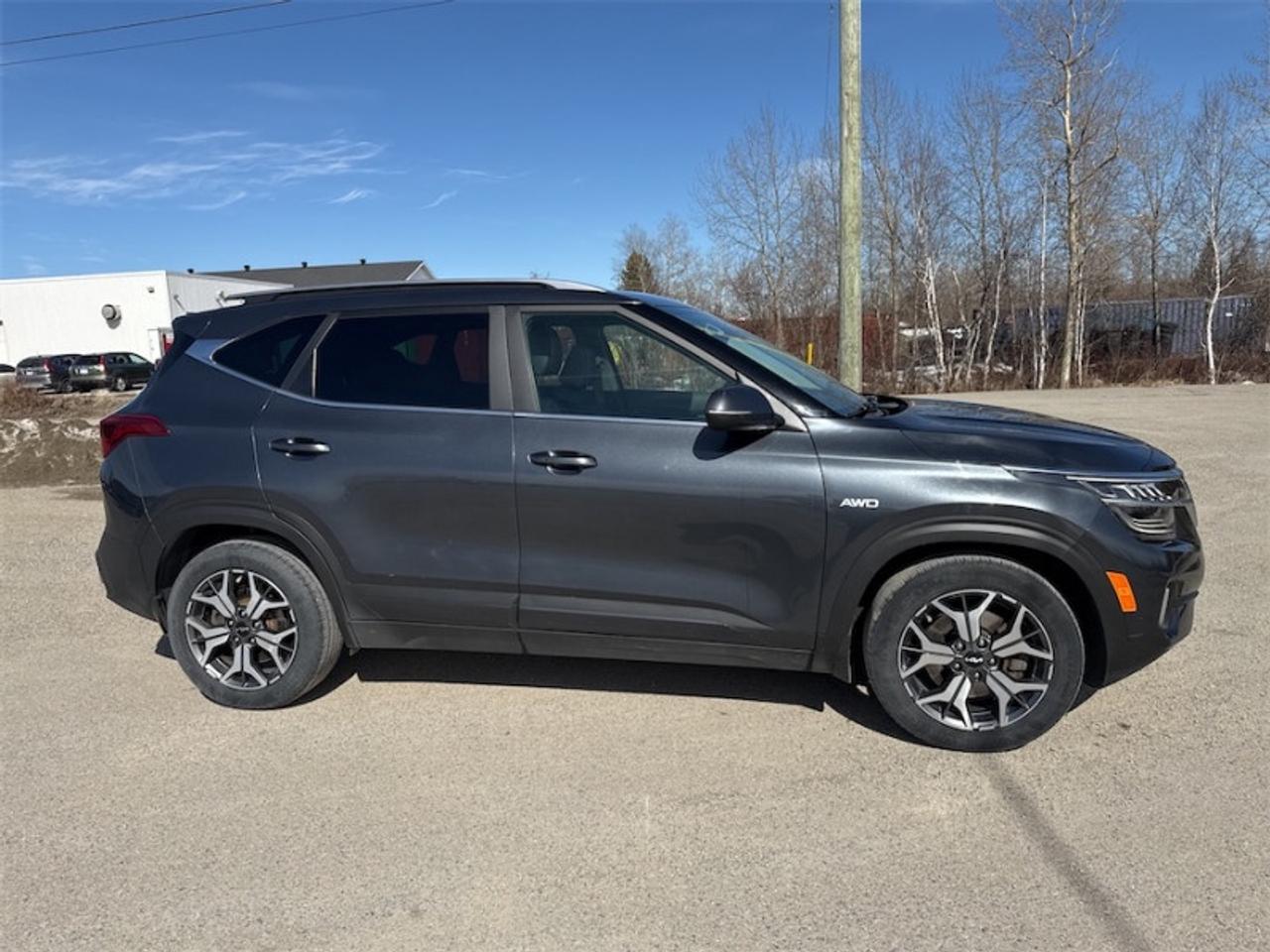 2022 Kia Seltos EX Premium  Sunroof - $163 B/W Photo