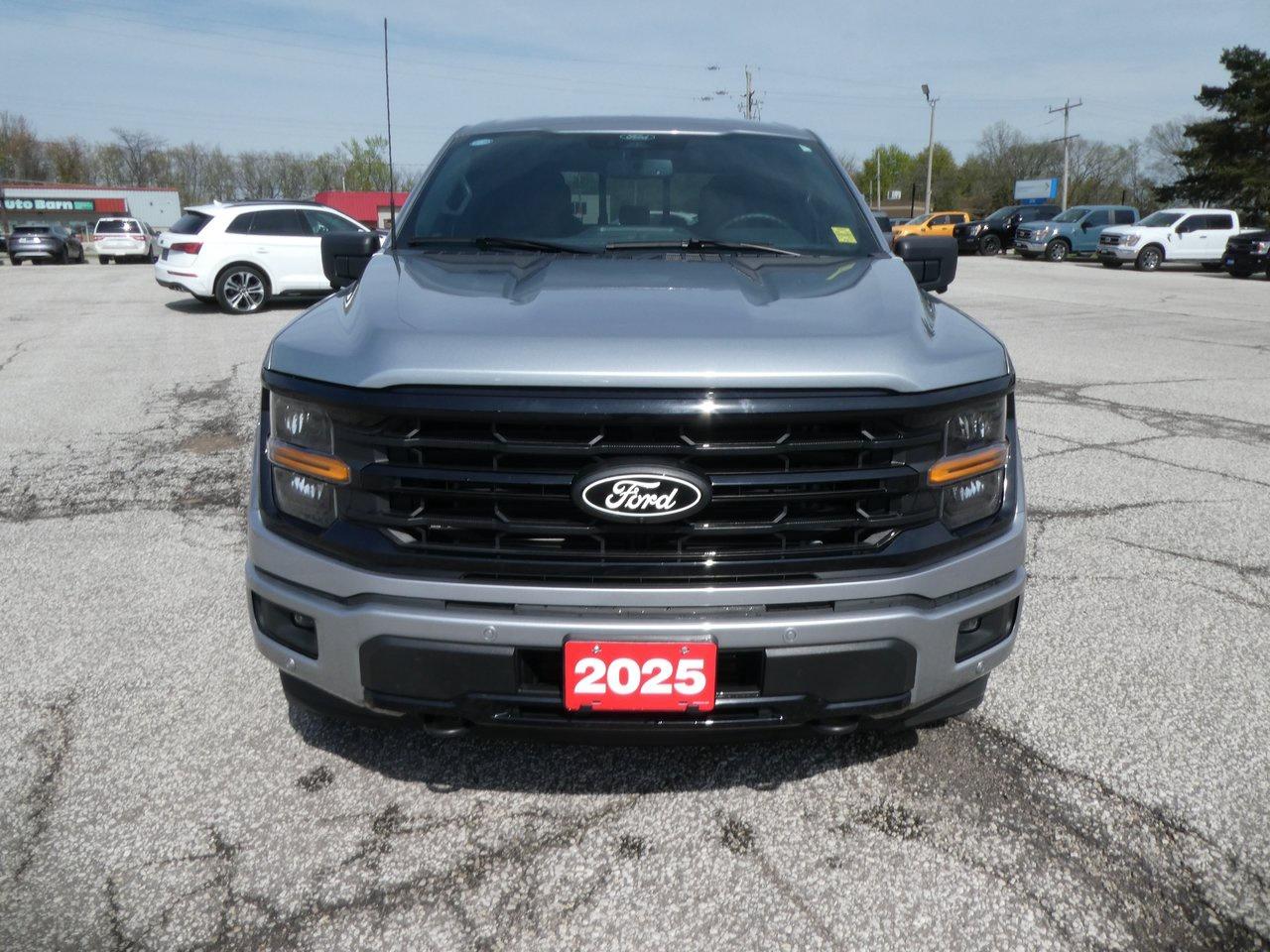 2025 Ford F-150 XLT | Heated Seats | Backup Cam | Nav | Photo