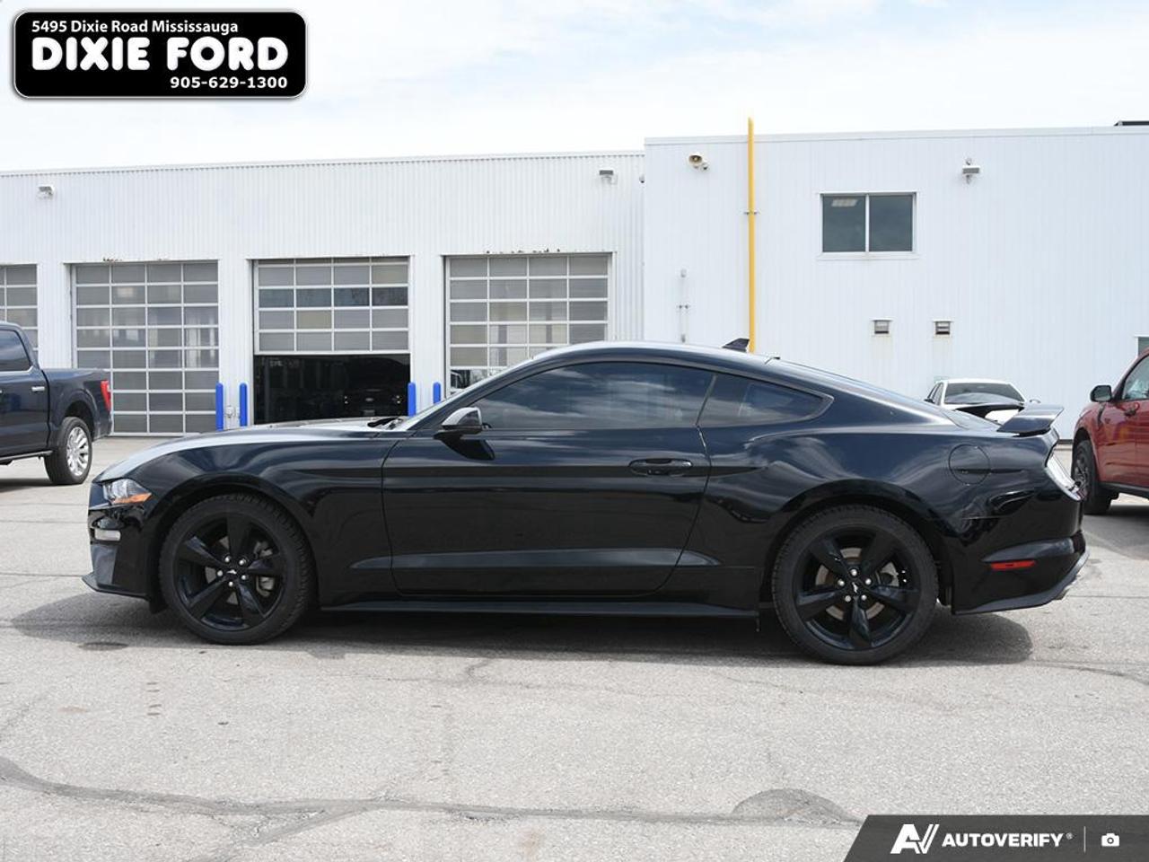 2022 Ford Mustang EcoBoost Premium Photo2