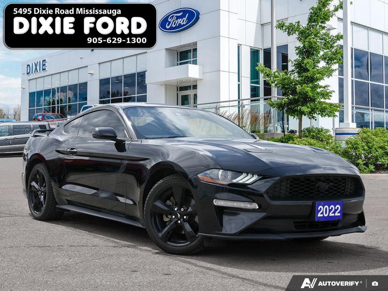2022 Ford Mustang EcoBoost Premium Photo